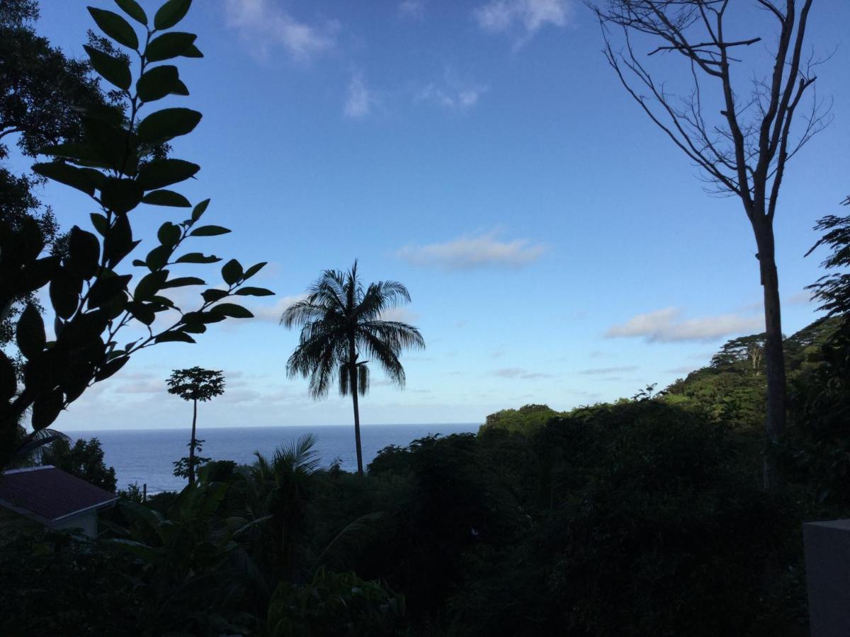 Bougainvillas Seychelles Анс-Руаяль Экстерьер фото