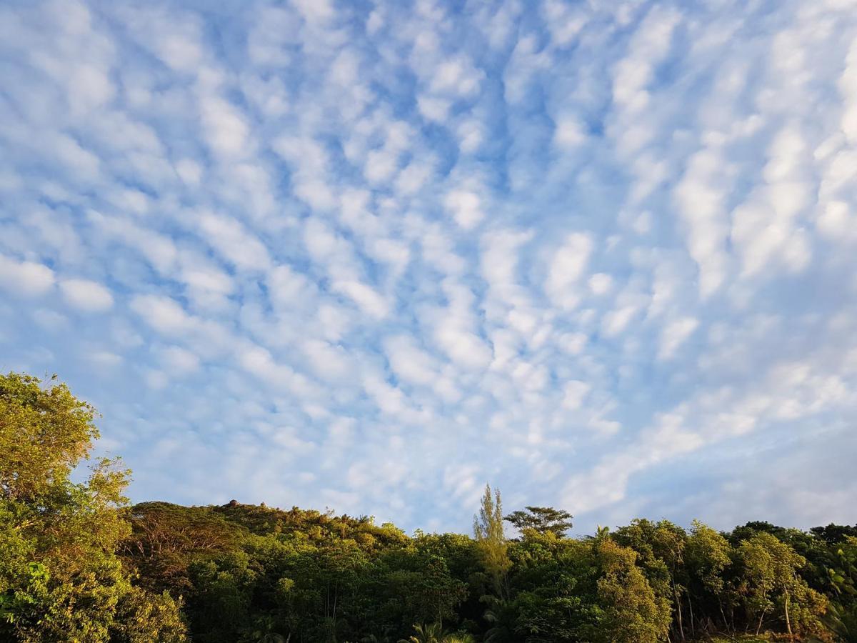 Bougainvillas Seychelles Анс-Руаяль Экстерьер фото